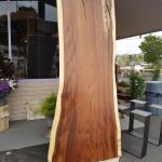 Parota Wood slab