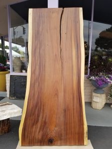 Parota wood slab